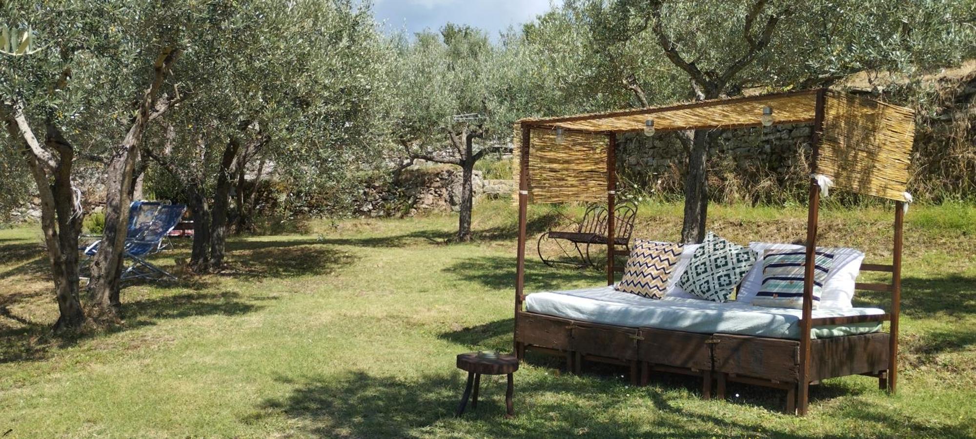 Bed and Breakfast La Casa Tra Gli Ulivi Cortona Exterior foto